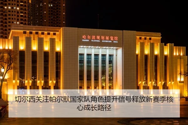 切尔西关注帕尔默国家队角色提升信号释放新赛季核心成长路径