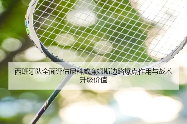 西班牙队全面评估尼科威廉姆斯边路爆点作用与战术升级价值