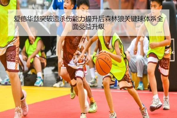 爱德华兹突破造杀伤能力提升后森林狼关键球体系全面受益升级